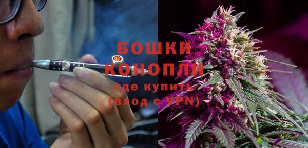 прущий лед Вяземский