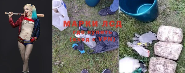 гидропоника Горнозаводск
