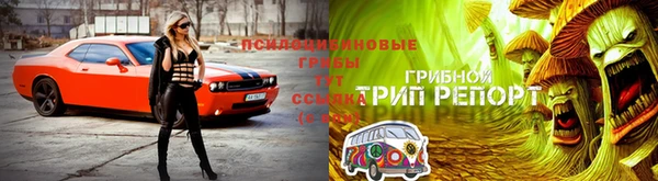 гидропоника Горнозаводск